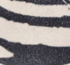 swatch_Zebra oncept fez sneaker